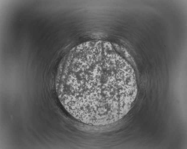 X0000082160043200702162246