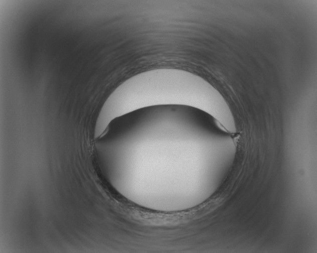 X0000082160044200702162246