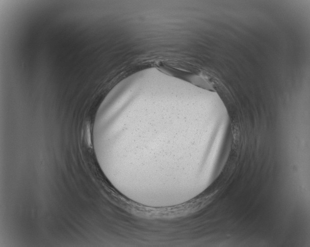 X0000082160046200702162245