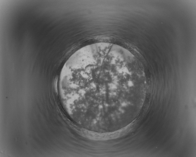 X0000082160047200702162245