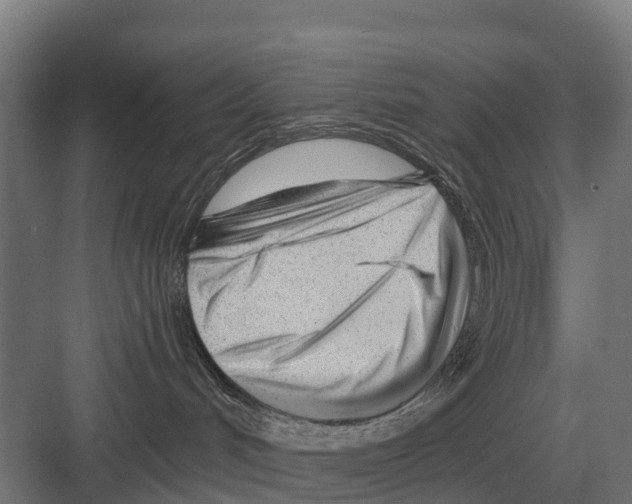 X0000082160048200702162245