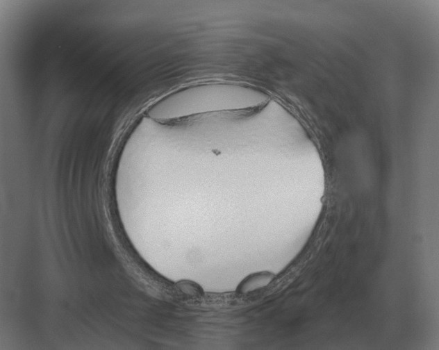 X0000082160049200702162245