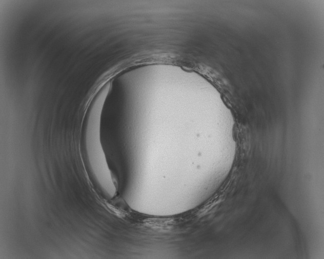 X0000082160051200702162245