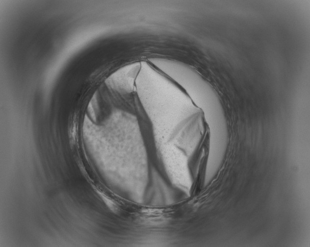 X0000082160052200702162245