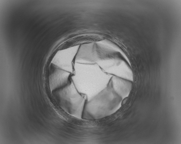 X0000082160053200702162245