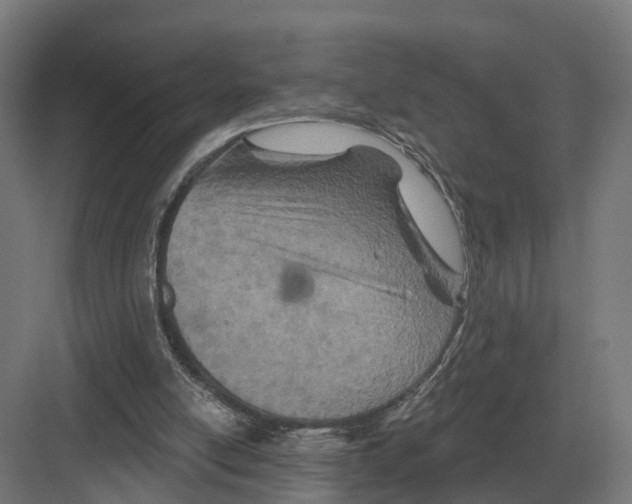 X0000082160054200702162245