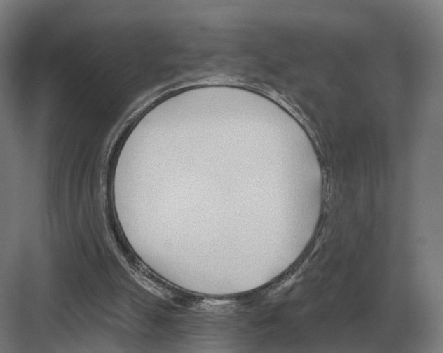 X0000082160055200702162245