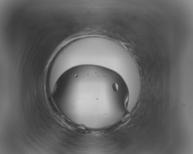 X0000082160056200702162245