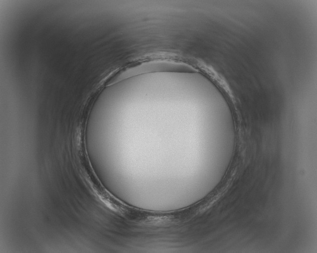 X0000082160057200702162245