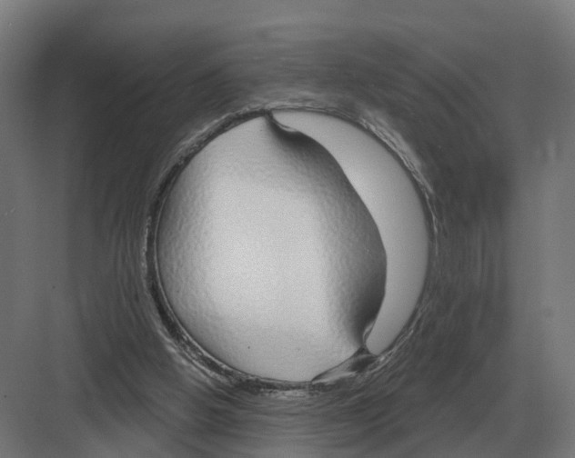 X0000082160058200702162245