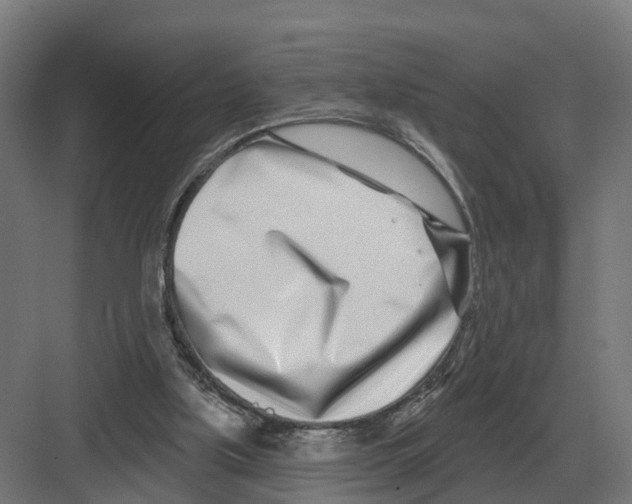 X0000082160059200702162245