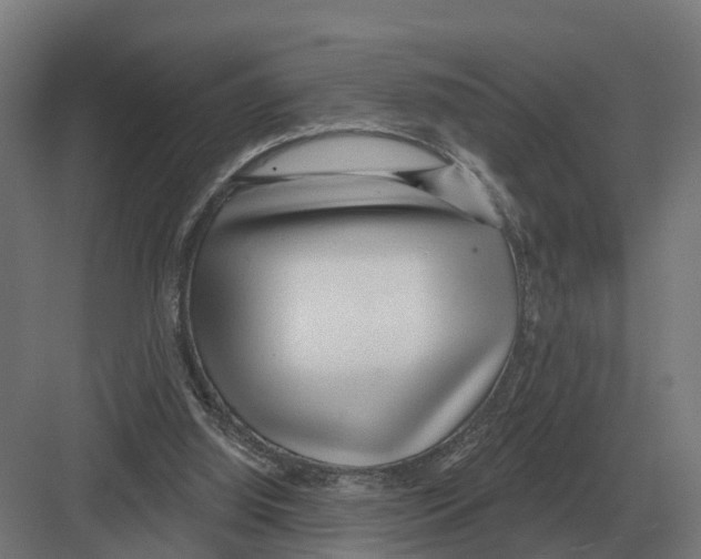 X0000082160060200702162245