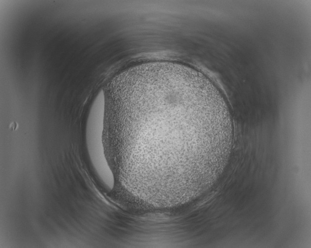 X0000082160061200702162245