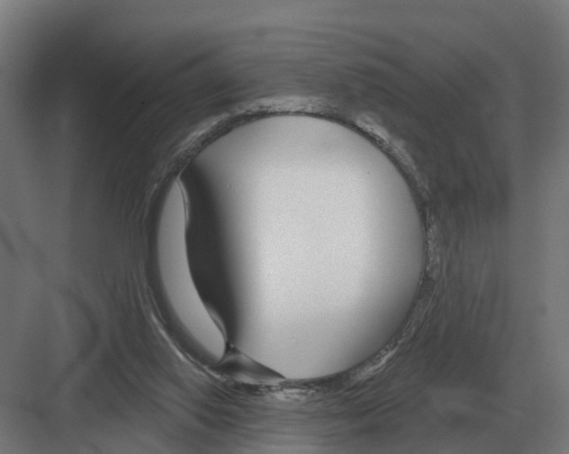 X0000082160062200702162245