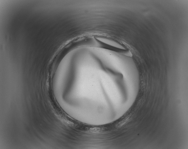 X0000082160064200702162245