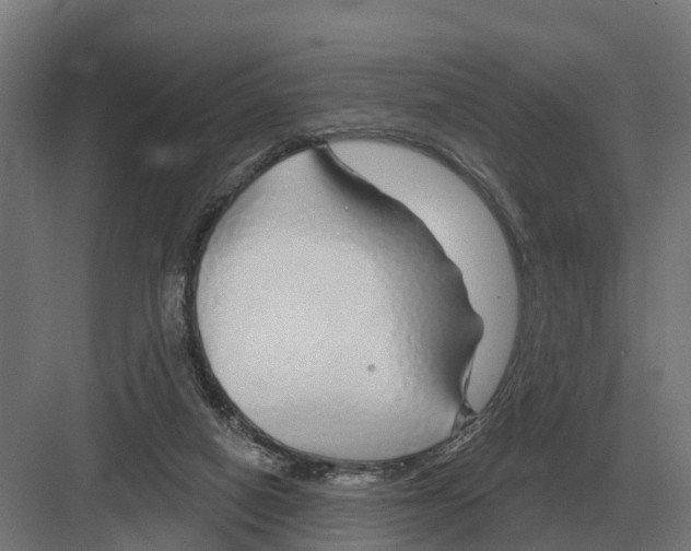 X0000082160066200702162245