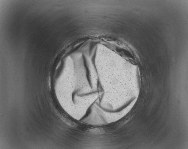 X0000082160067200702162245