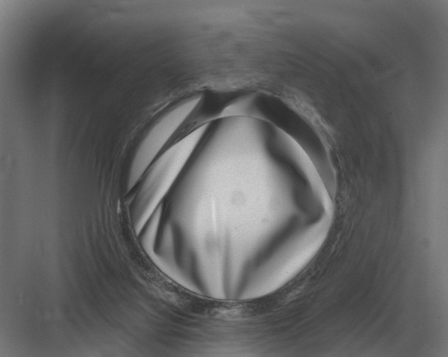 X0000082160068200702162245