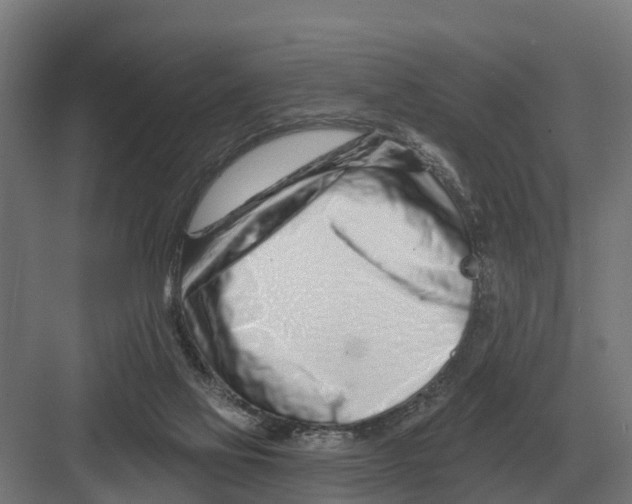 X0000082160069200702162245