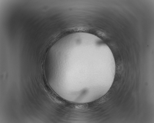 X0000082160070200702162245