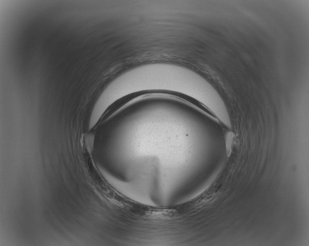 X0000082160072200702162245