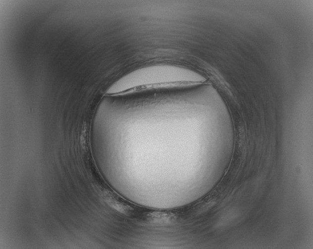 X0000082160073200702162245