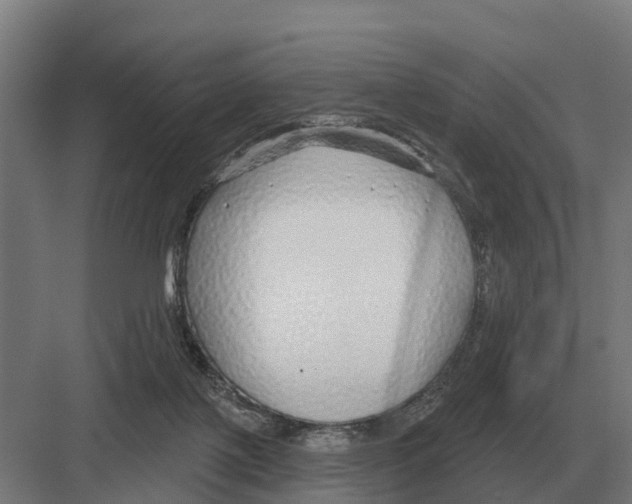 X0000082160075200702162245