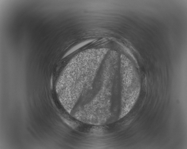 X0000082160076200702162245