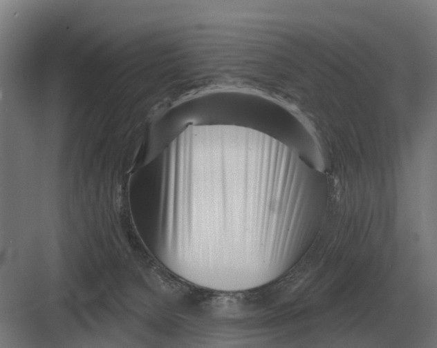 X0000082160080200702162245