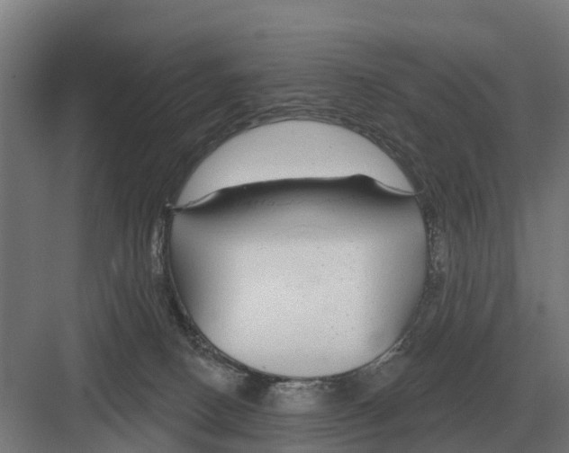 X0000082160082200702162245