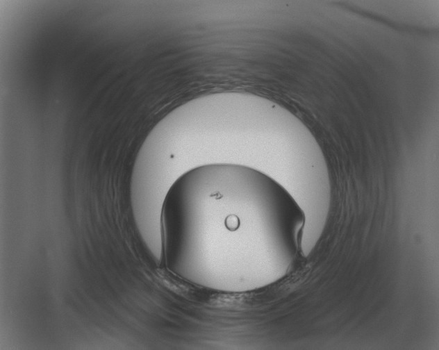 X0000082160084200702162245