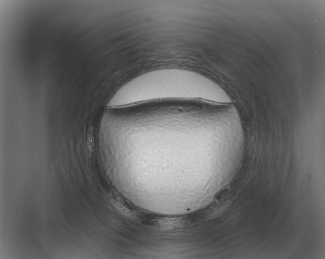 X0000082160085200702162245