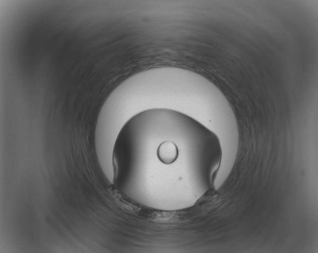 X0000082160088200702162245