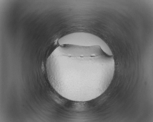 X0000082160089200702162245