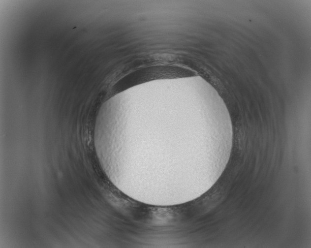 X0000082160091200702162245