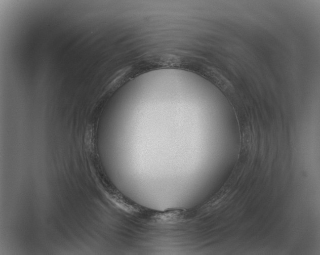 X0000082160092200702162245