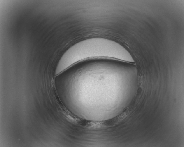 X0000082160093200702162245