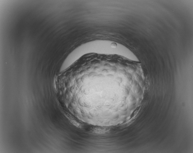 X0000082160094200702162245