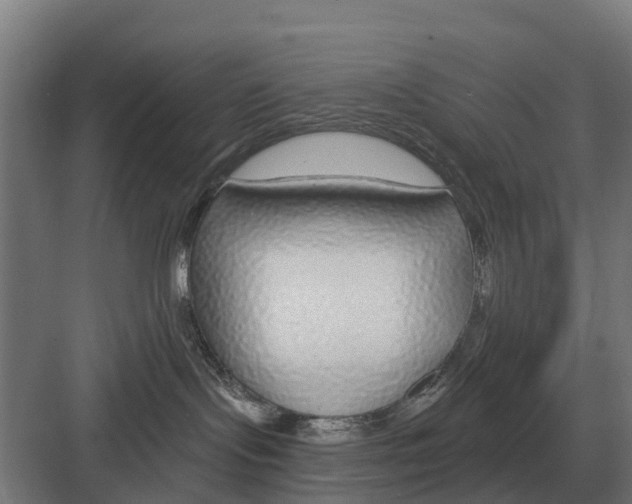 X0000082160095200702162245