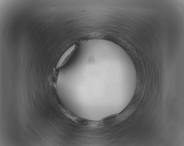 X0000082160096200702162245