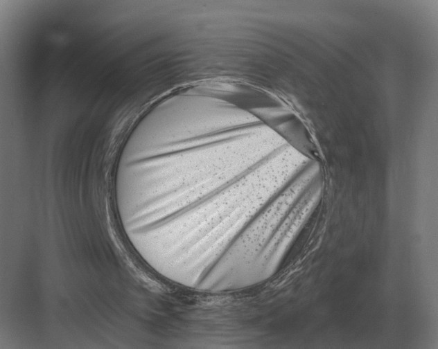 X0000082160097200702162245