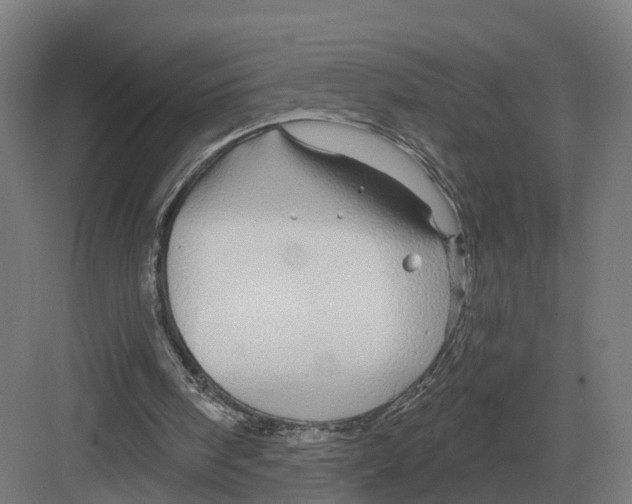 X0000082160098200702162245