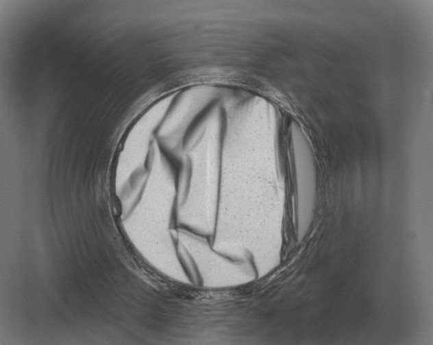 X0000082160099200702162245