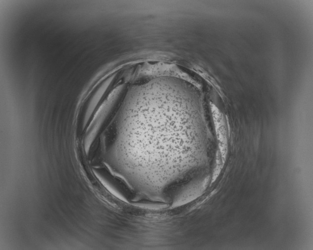 X0000082160101200702162245