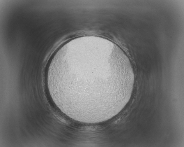 X0000082160103200702162245