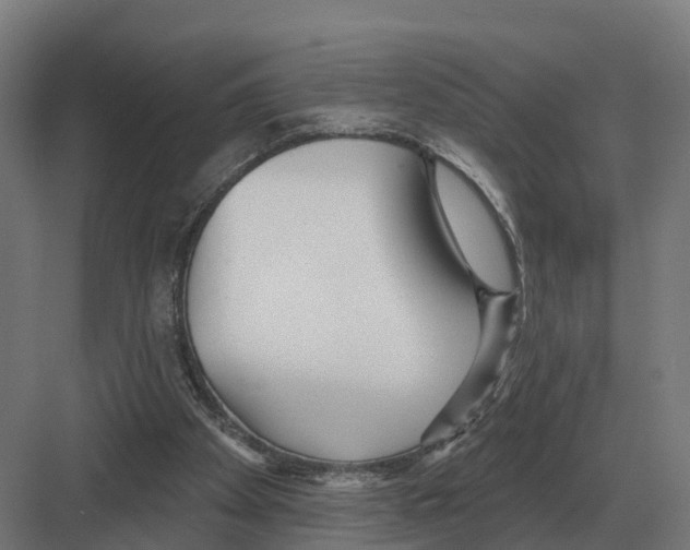 X0000082160105200702162244