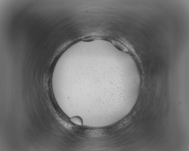 X0000082160106200702162244