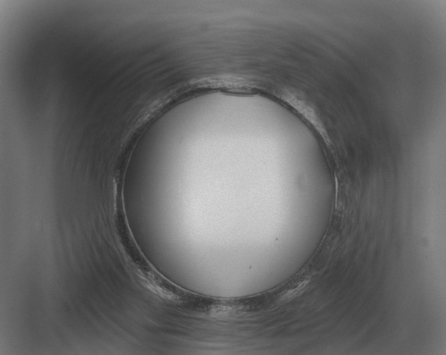 X0000082160109200702162244