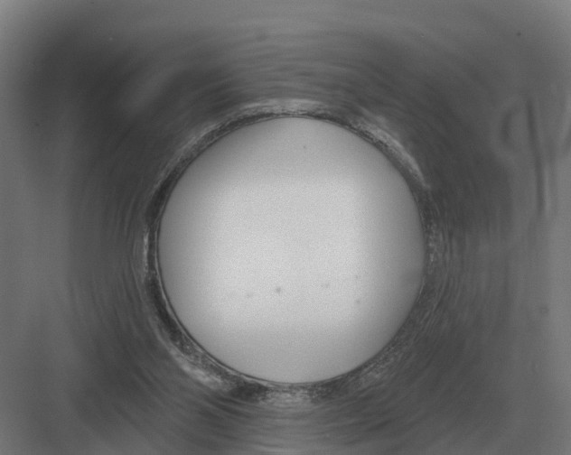 X0000082160110200702162244