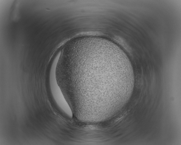 X0000082160111200702162244